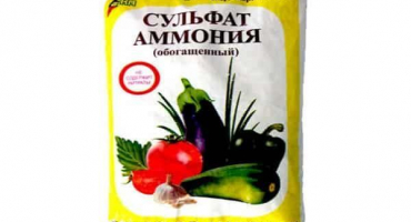 Návod na použití hnojiva síranu amonného na zahradě